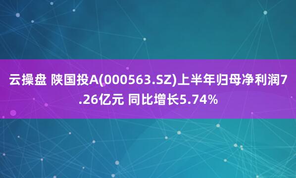 云操盘 陕国投A(000563.SZ)上半年归母净利润7.26亿元 同比增长5.74%